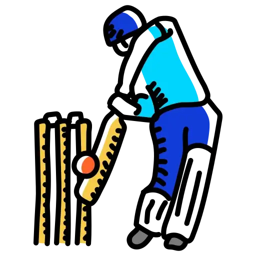 Cricket pitch for practice